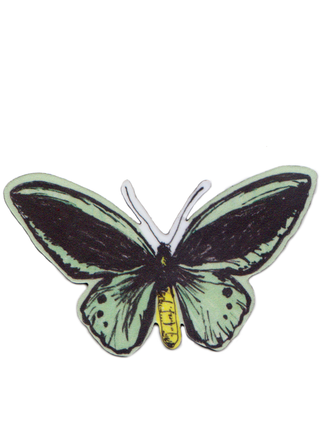 Magnet Green Butterfly