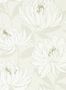 5243_2_harlequin_sebal_112131-54994