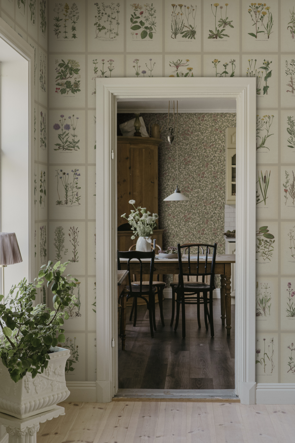 Wandbild Botanica - Oat