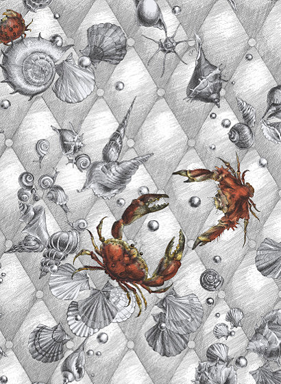 Tapete Coquillage & Crustacés - RM116-01 - Blanc