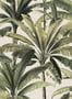 6947_1_Arte_Essentials_Palmera_11140-88398