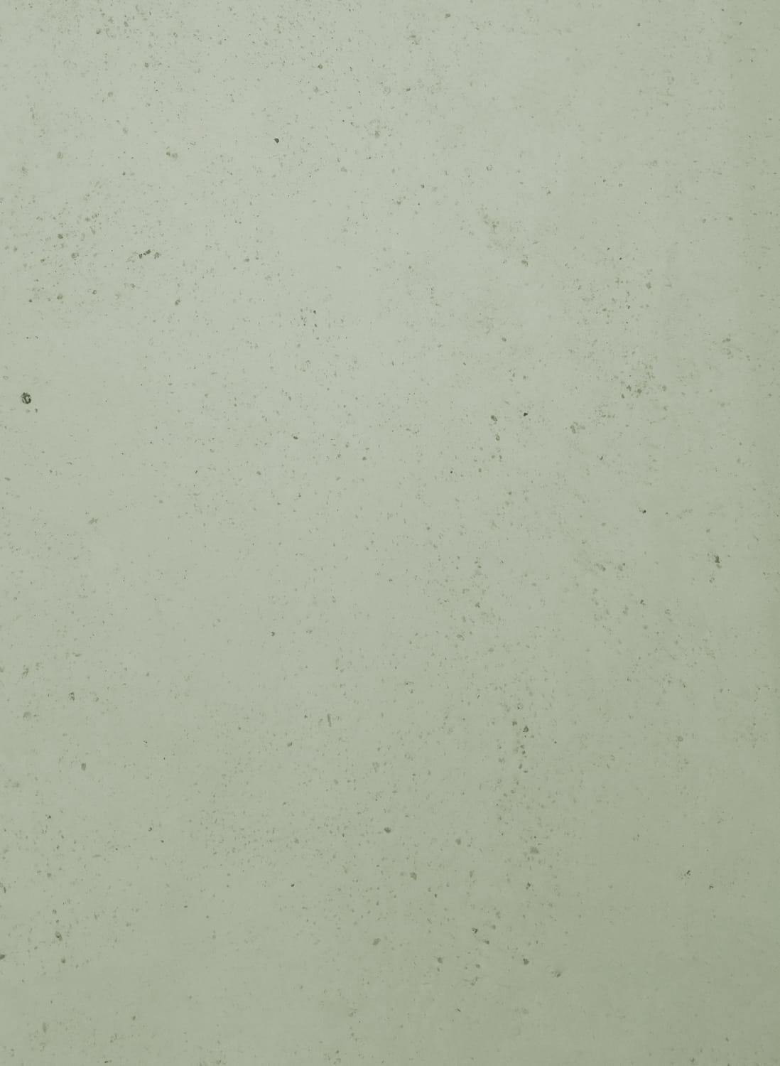 Lichtgrün - 4