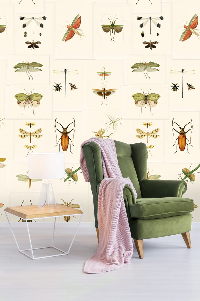 Tapete Entomology - WP20233
