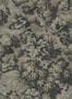 7323_2_Rebel_Walls_Blooming_Park_R19254-101324