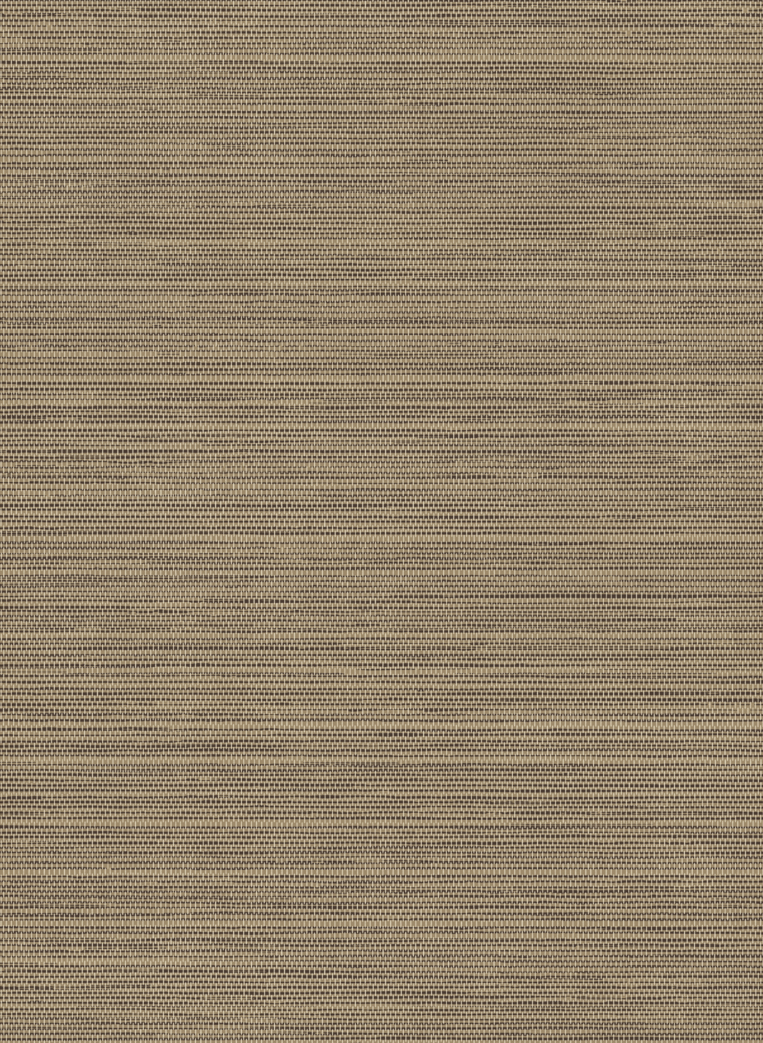 Tapete Le Sisal - Bark