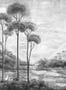 14697_2_Coordonne_Xi_Hu_Lake_B00150N-116945