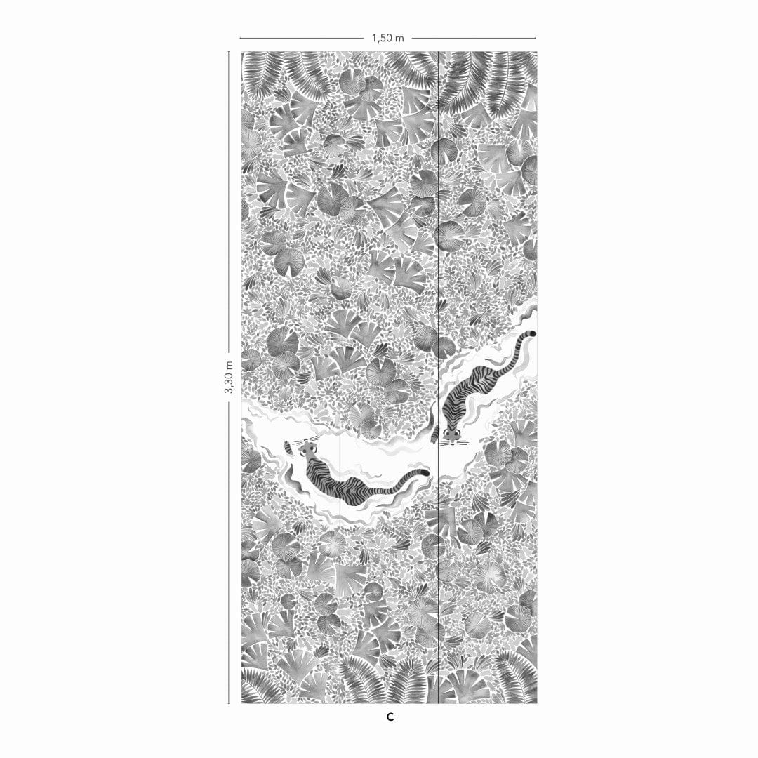 Wandbild Tigres Naturel - C 7/8/9