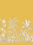15042_5_Nobilis_Papillons_MHP74-115313