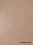 Terrastone-Fine-13-Terra-Organge-Hell-colour-sample-named-190578