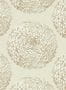 5387_5_Harlequin_Elixity_112175-56453