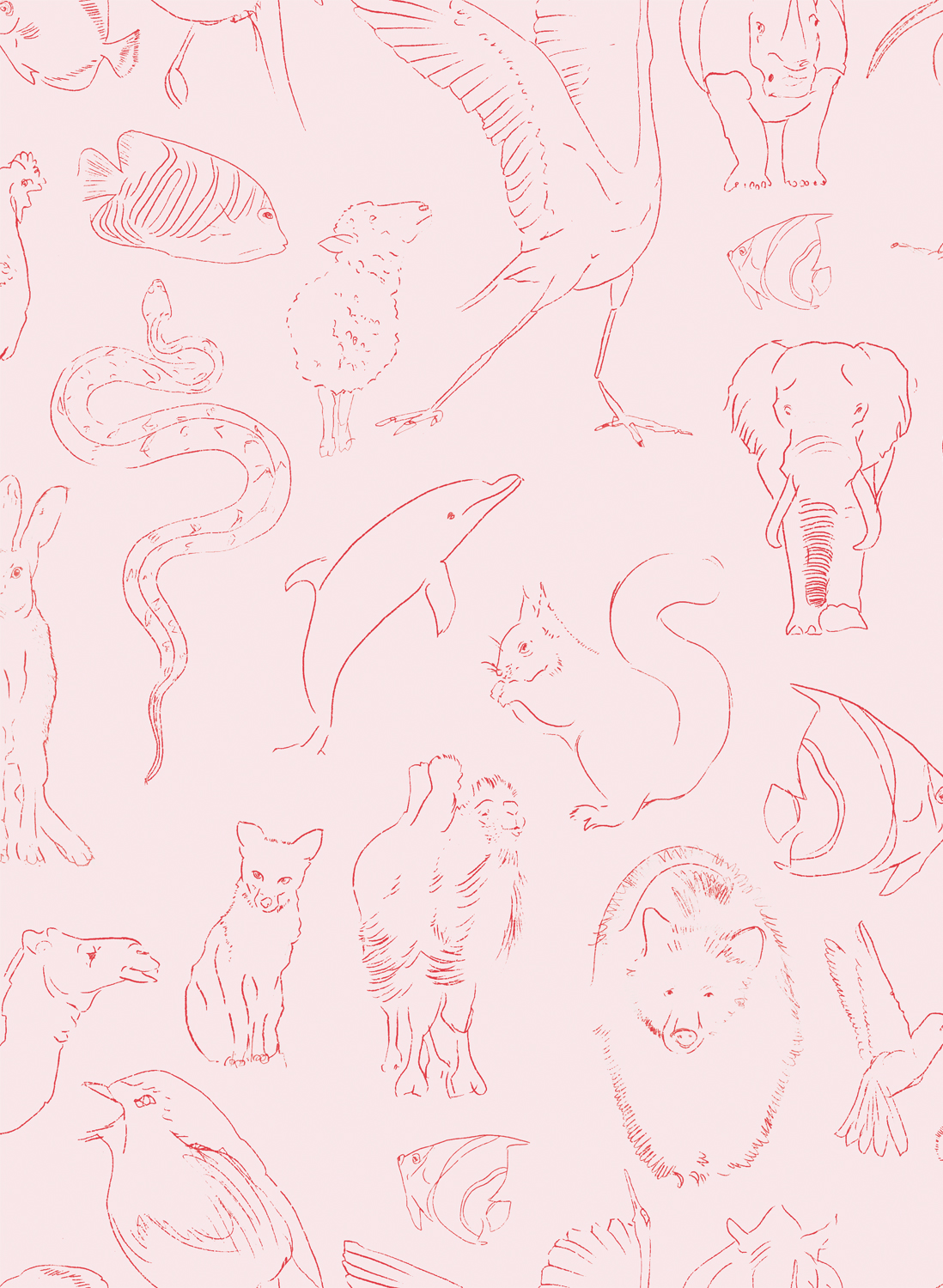 Tapete Zoology - Candy