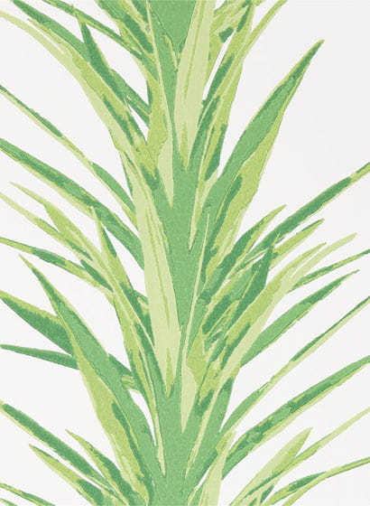 Tapete Yucca - Botanical Green