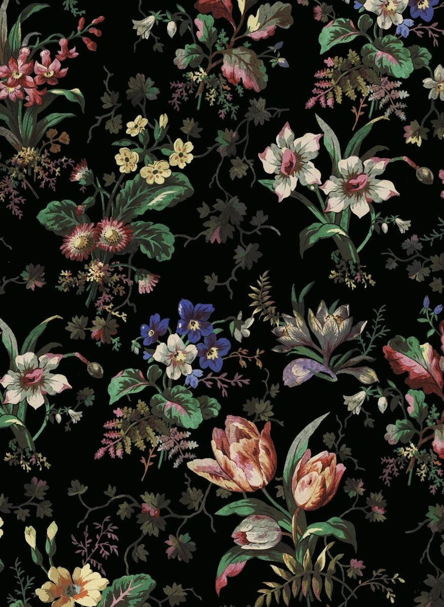 Tapete Tulipa - Onyx