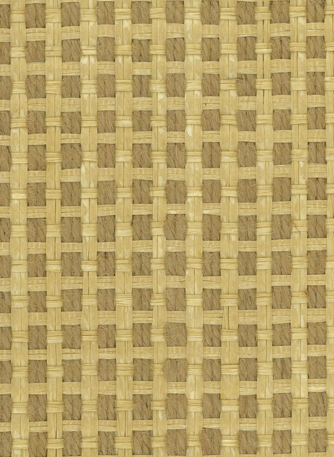Tapete Papyrus - Honey