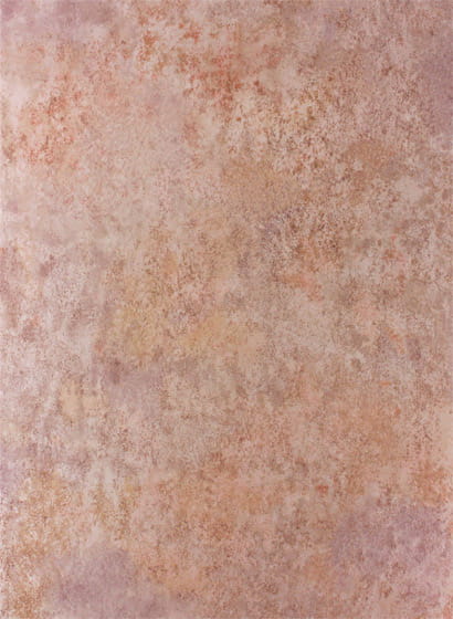 Wallpaper Fresco - Copper