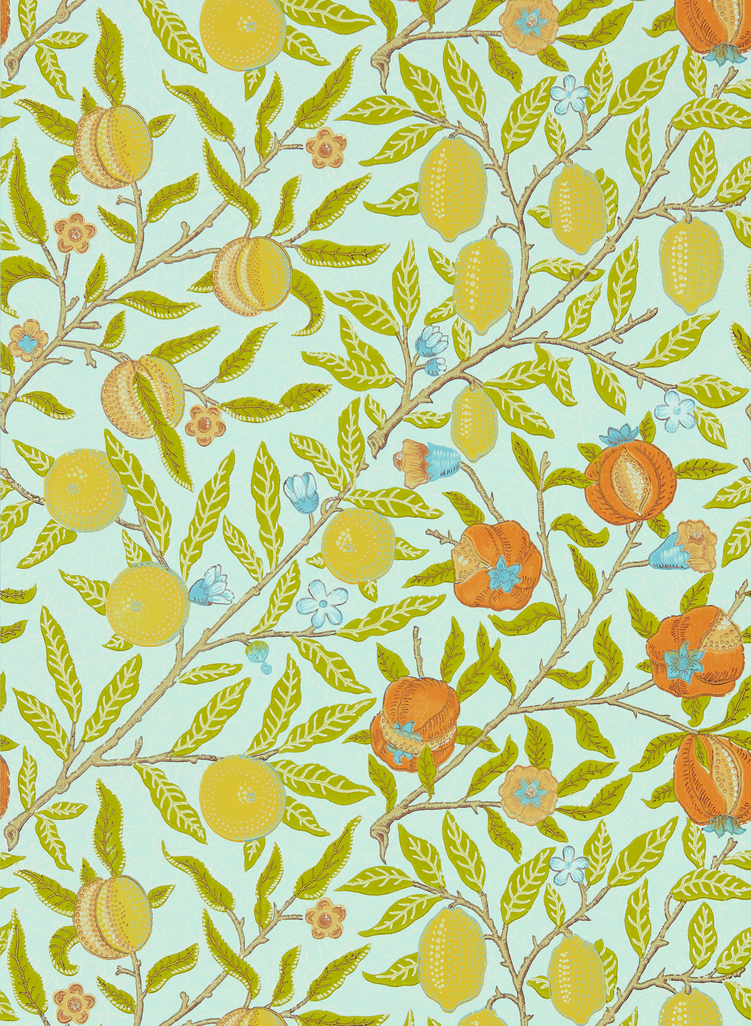 Tapete Fruit - Sky