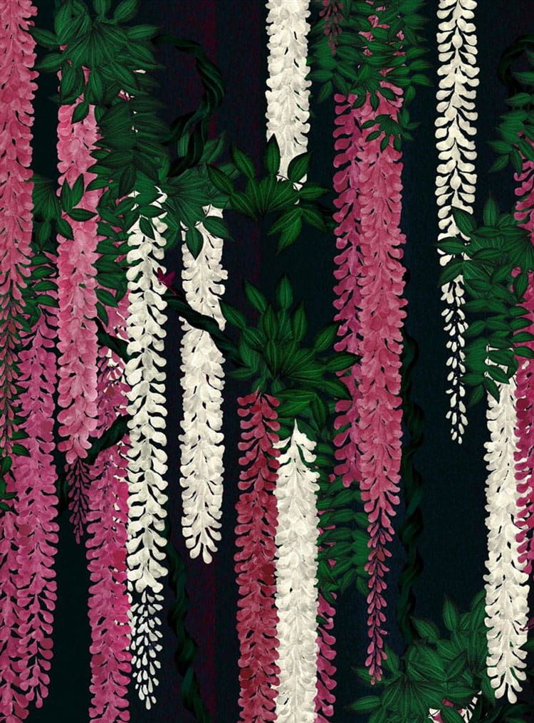 Tapete Wisteria Alba - Magenta