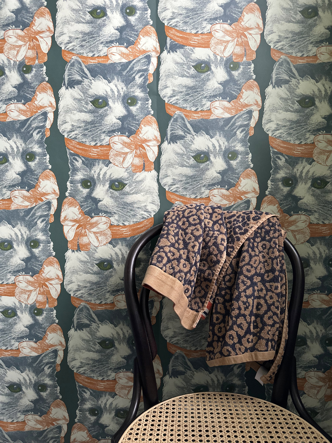 Wallpaper Crazy Cat Lady - 1702
