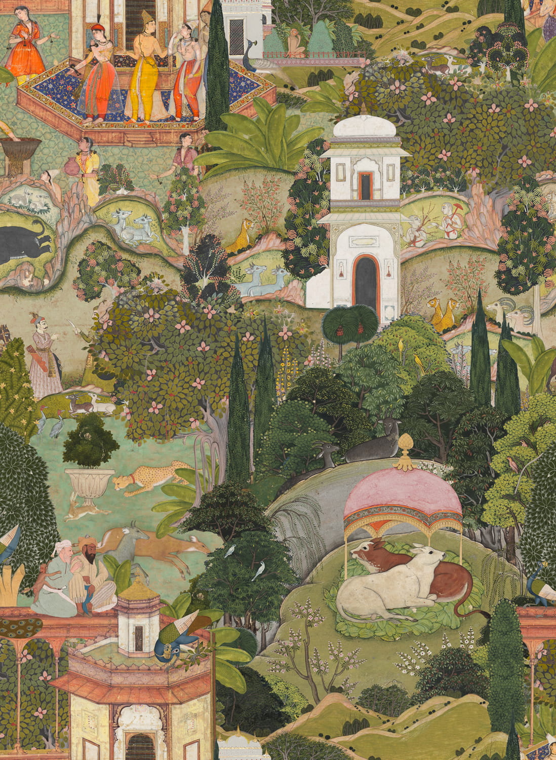 Tapete Gardens of Jaipur - WP20645