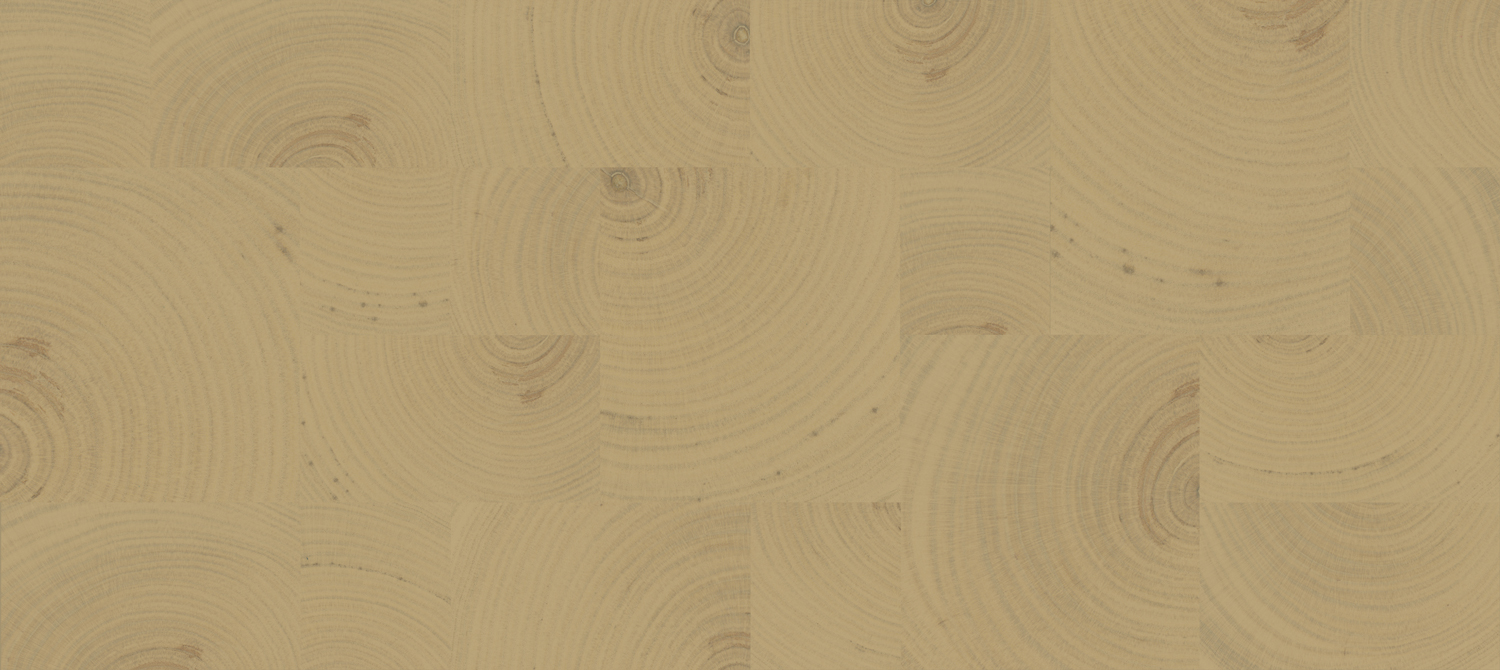 Tapete Empreintes - RM 1040 15