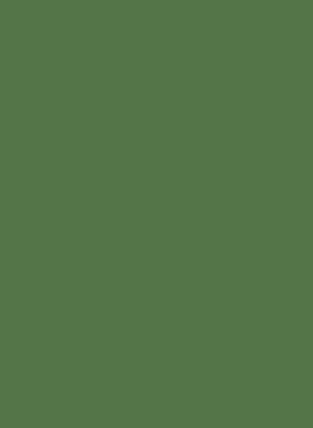 Intelligent All Surface Primer - Brilliant Green 127