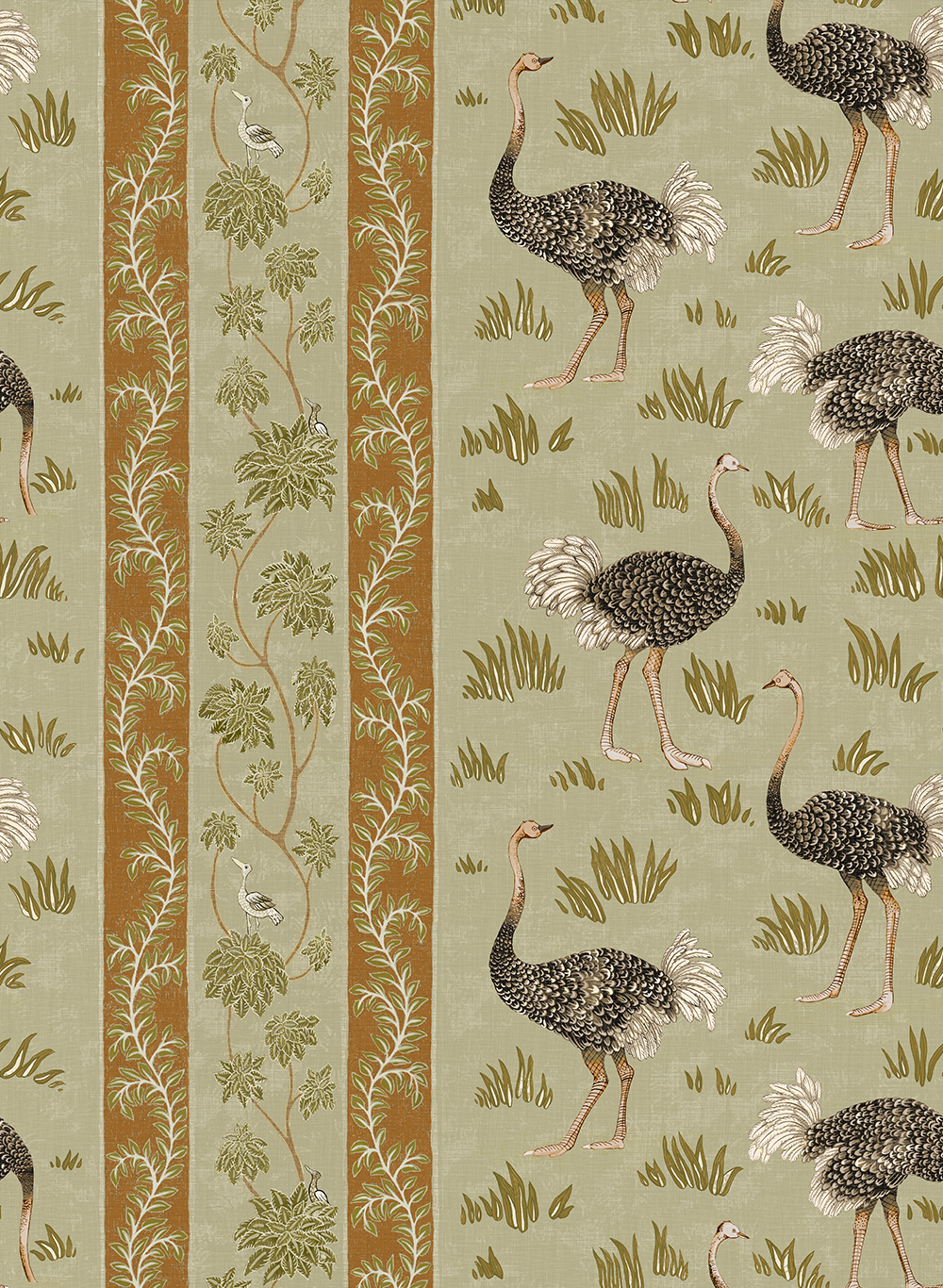 Tapete Ostrich Stripe - Olive and Orange