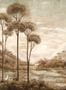 14697_1_Coordonne_Xi_Hu_Lake_B00149N-116941