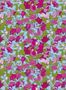 14758_1_Jannelli_and_Volpi_D_Amour_25507-131158