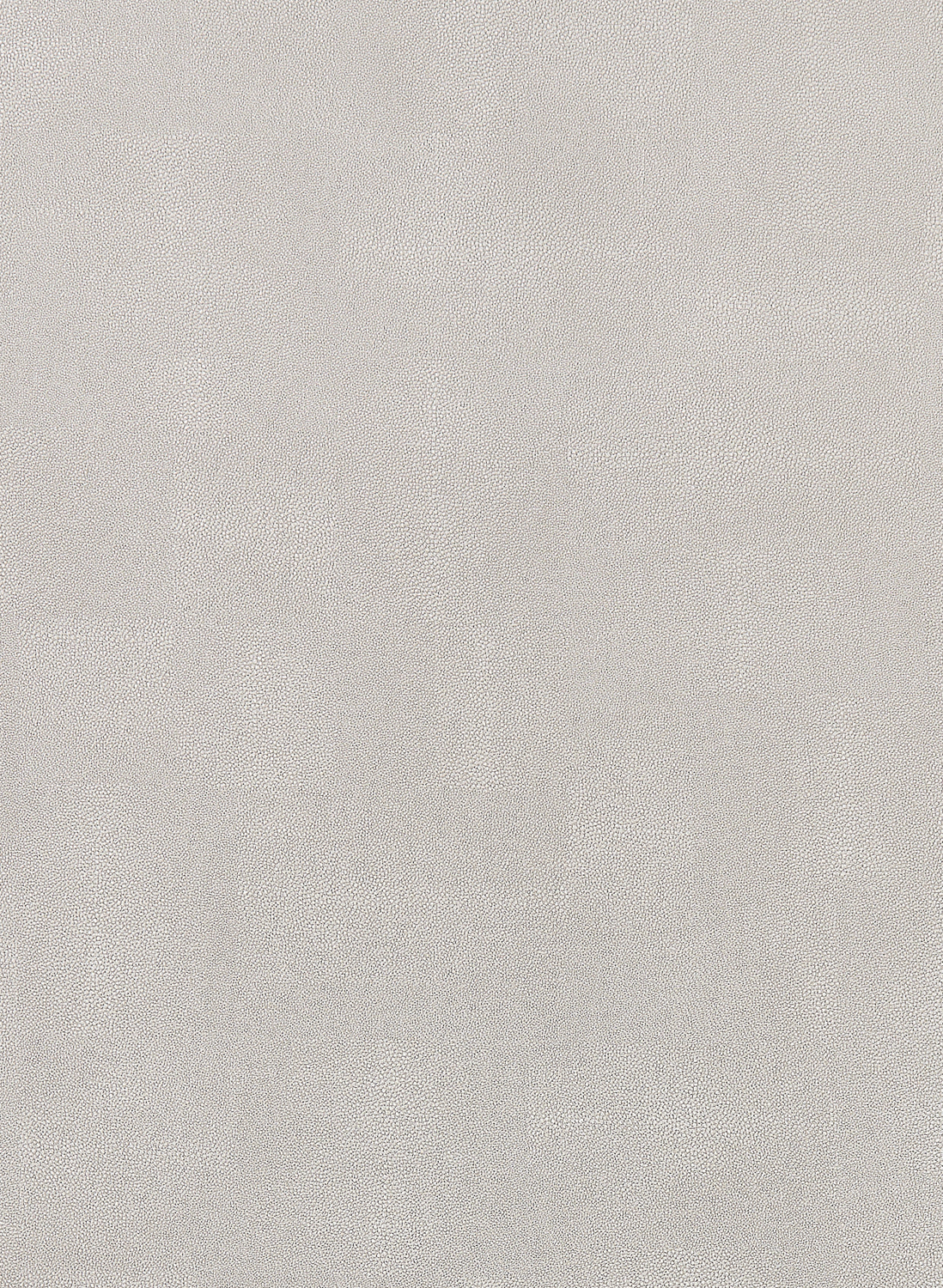Tapete Zingrina - Metallic Pewter