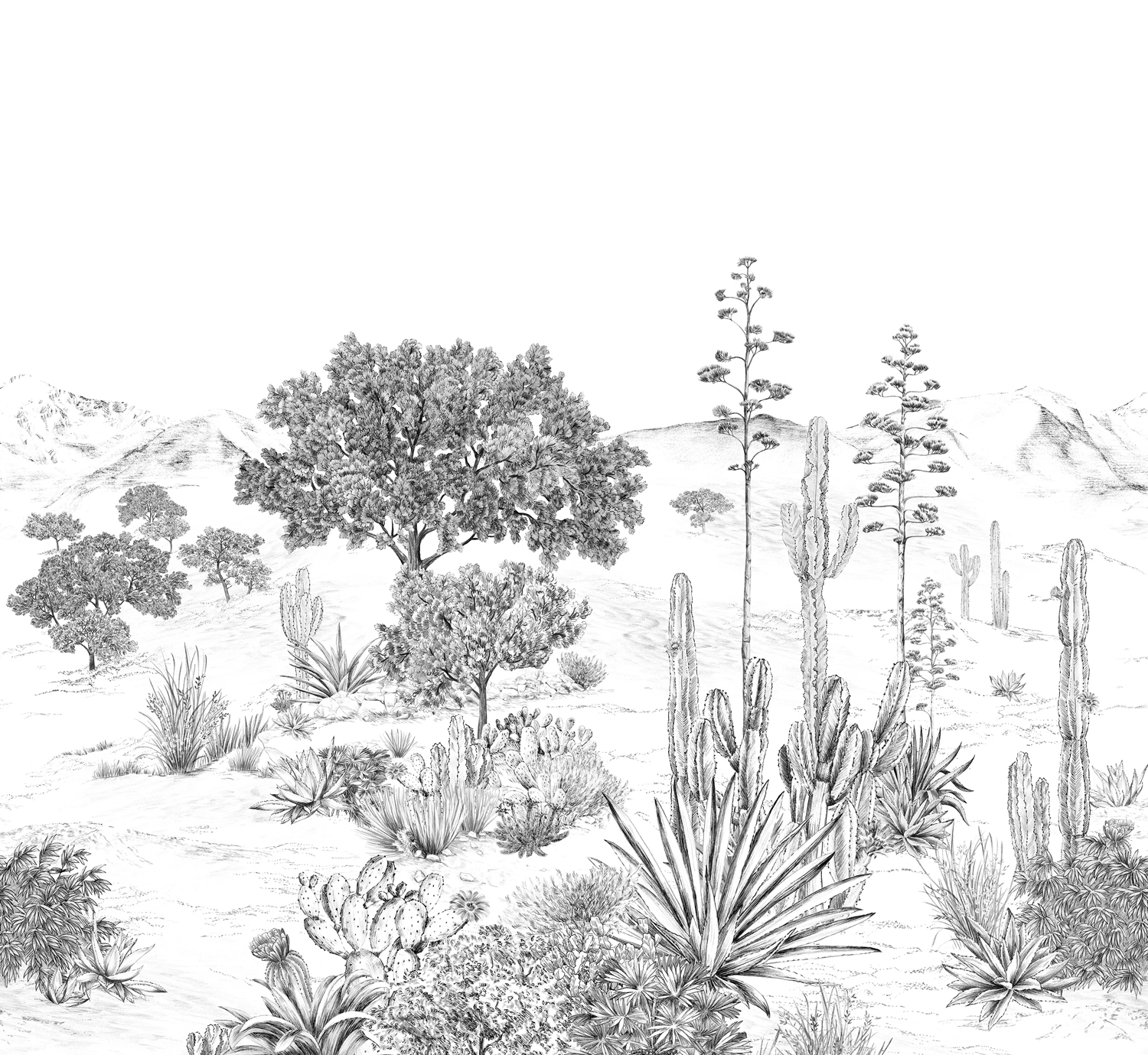 Wandbild Succulentes Grisaille - Panel A