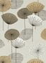 1173_06_Sanderson_Dandelion-Clocks_DOSW217031-183799