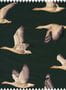 n50013_1_xl3_sanderson_elysian_geese_fabric_226519_korrerktur-136078