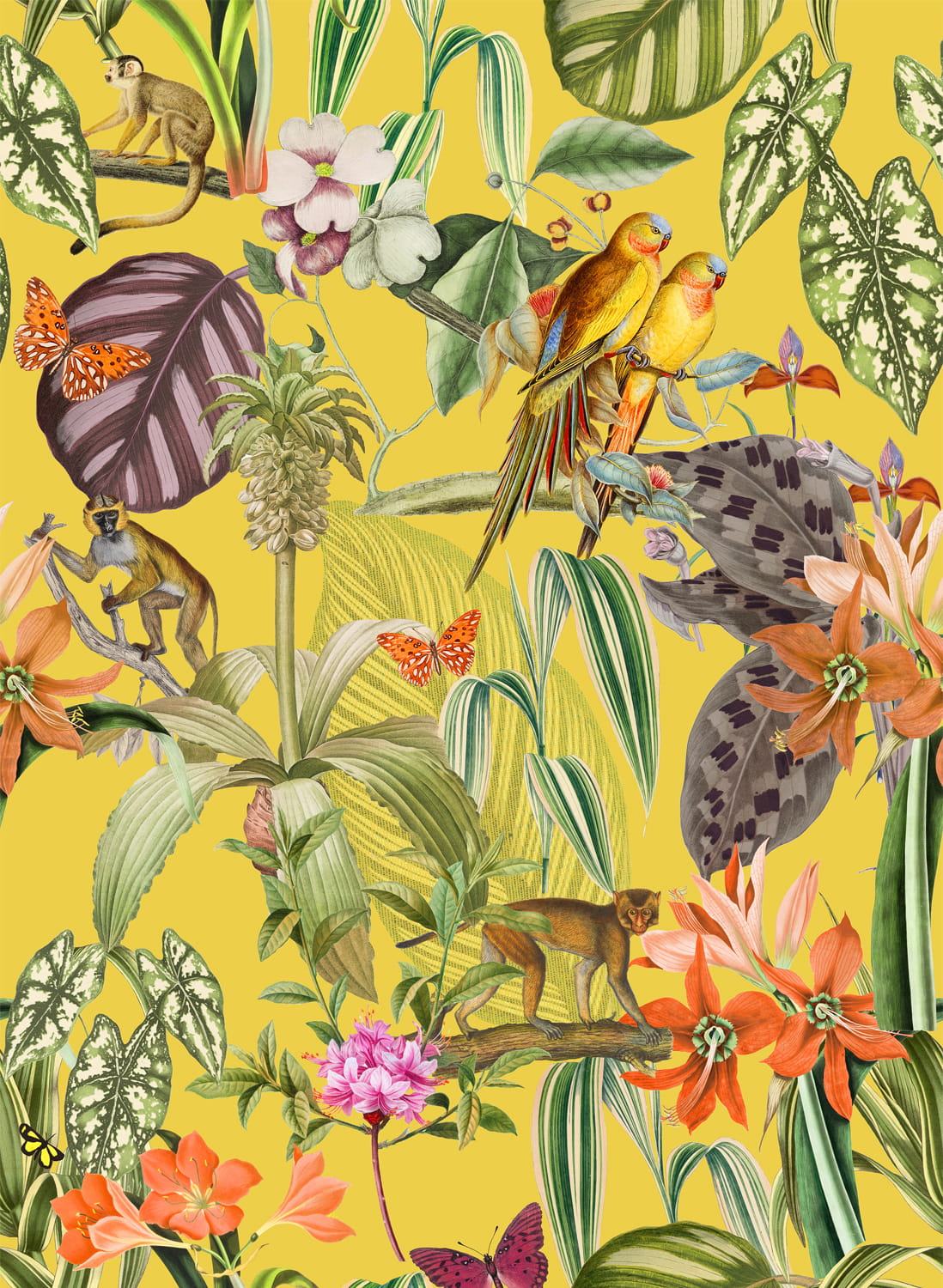 Tapete Parrots - Limon
