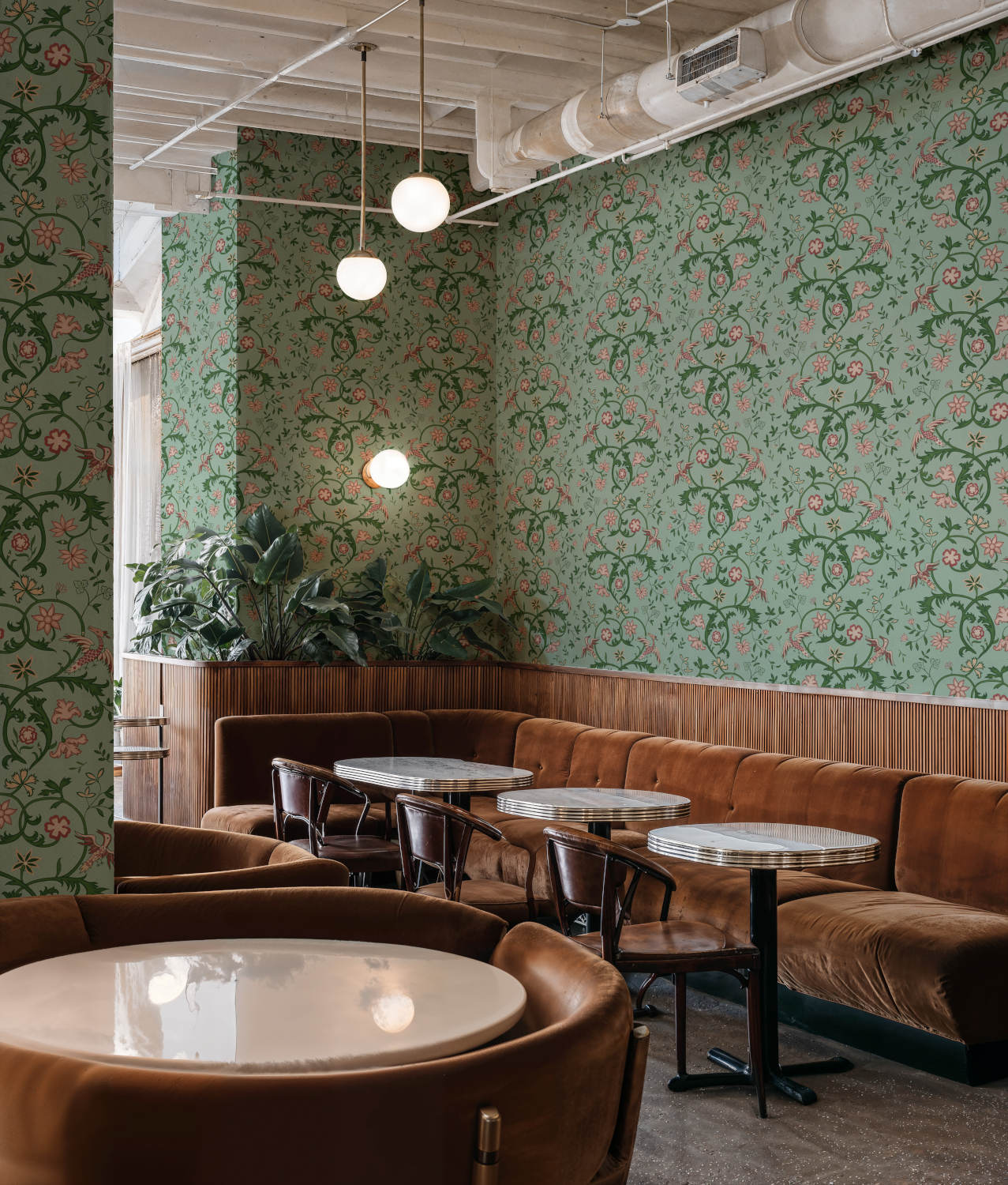Tapete Antwerp Damask - Sage