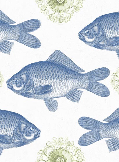 Tapete Fish - WP20009