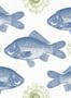 3158_2_mindthegap_fish_wp20009-28573