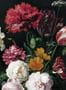 7502_1_KEK_Amsterdam_Wandbild_Golden_Age_Flowers_3-69003