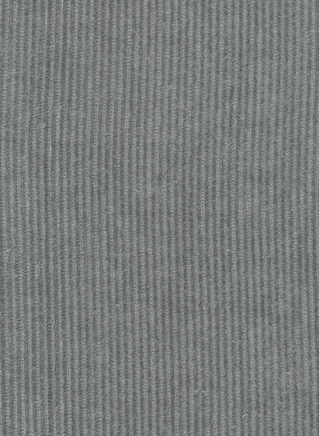 Tapete Tinneroy - 29507