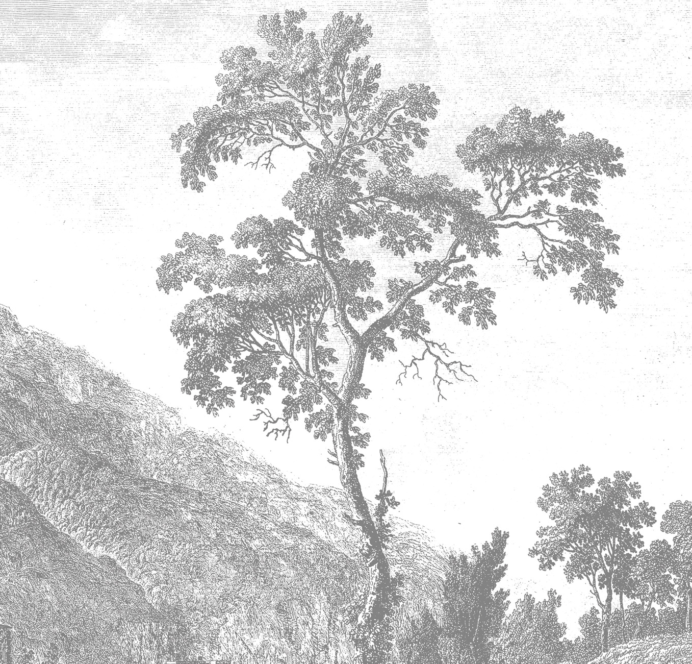 Wandbild Engraved Landscapes 1 - BW - Breite 2.92m