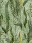 14955_02_Mindthegap_Aquatic_Plants_WP20717-139878