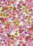 8392_3_Harlequin_Wildflower_Meadow_113051-115178