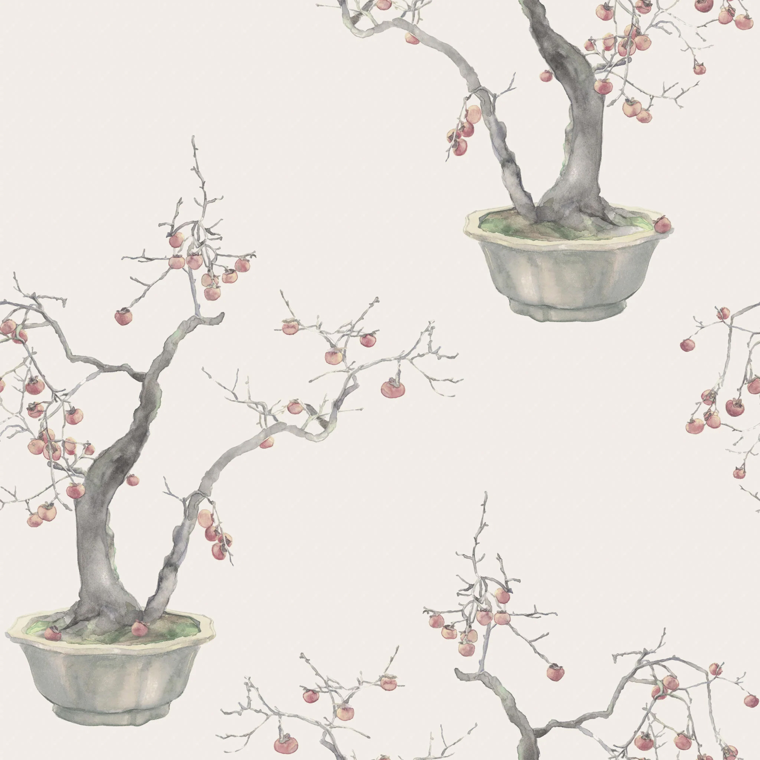 Tapete Kaki Persimmon - Silver