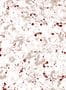 16200_3_Coordonne_Salines_8400082-143410