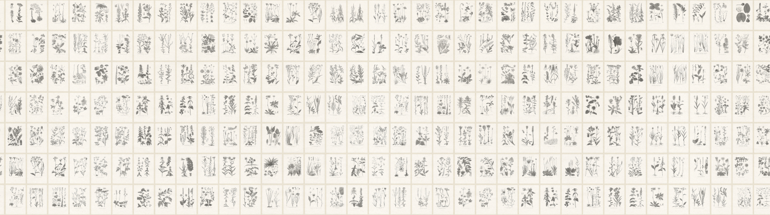 Wandbild Botanica - Graphite