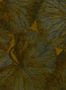 4033_1.2_zoffany_taisho-deco_312748-31541