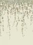 14738_6_Cole_and_Son_Hummingbirds_Flora_124_2013-118392