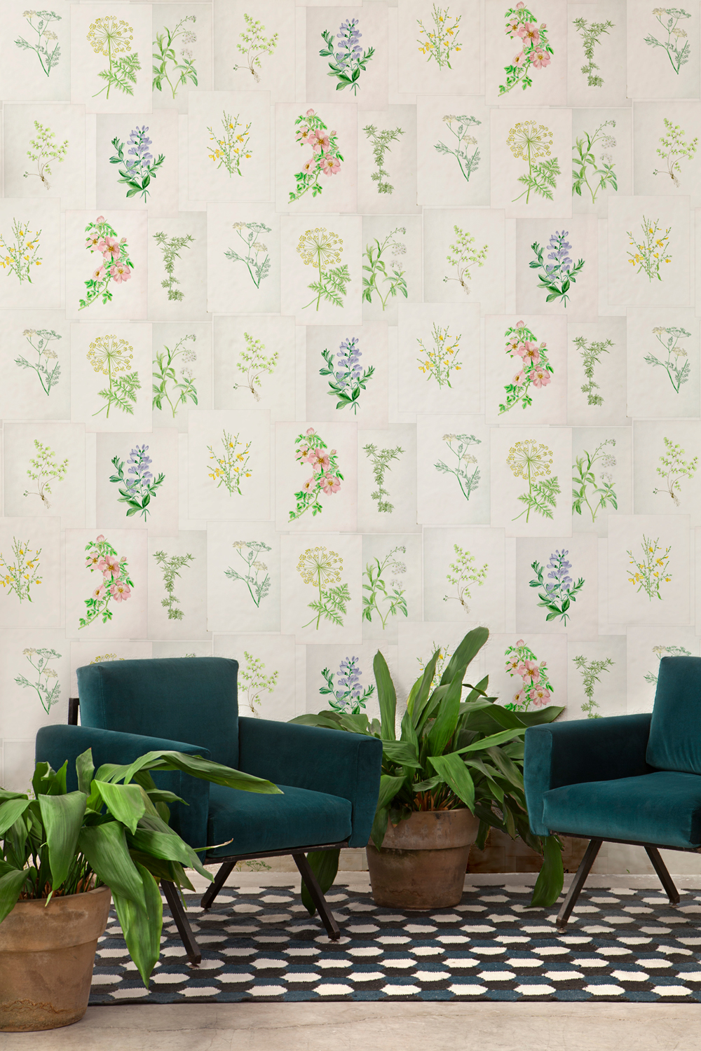 Wandbild Botanika - 7800994