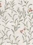 16336_06_Coordonné_Wild_Blackthorn_YSP0527-152876