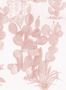 14634_4_Sian_Zeng_Desert_Desert_Pink-115718