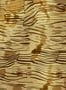 18216_03_Tres_Tintas_Reflections_M5403-3-196506